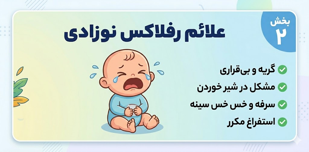 بالشت شیردهی استاندارد برای کاهش رفلاکس نوزاد — خرید از نی نی سرا اصفهان