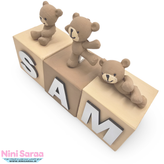 مکعب اسم کودک چوبی دستساز طرح تدی پالت خاکی بوهو اتاق نوزاد
